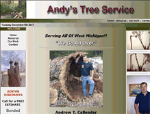 Tablet Screenshot of andystreeservice.com